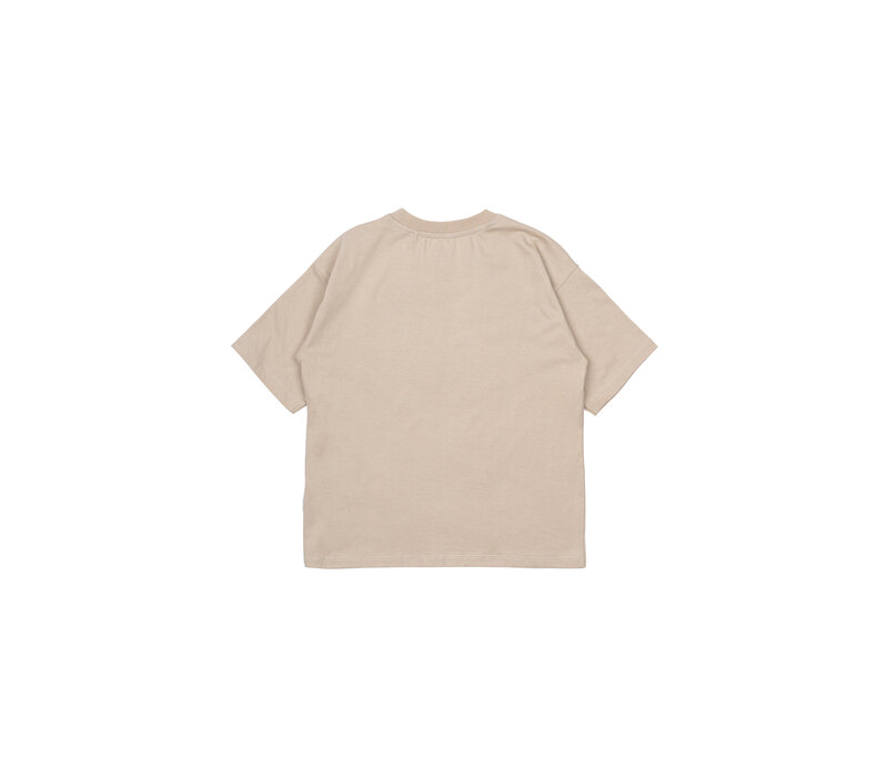 The New TNNocchci OS S_S Tee Feather gray