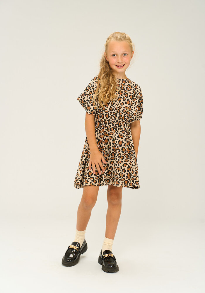 The New TNOrella S_S Dress Feather Gray AOP