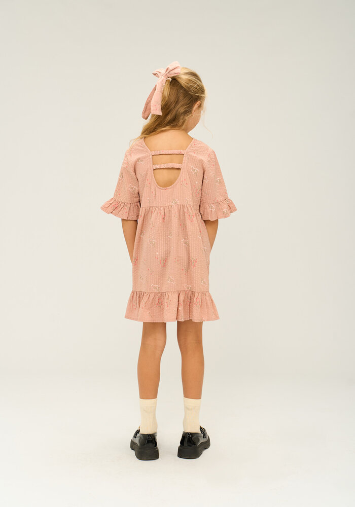 The New TNOlinam S_S Dress Adobe Rose AOP