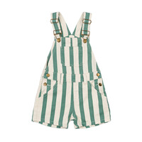 The New TNSTNewman Short Dungarees Bottle Green Striped