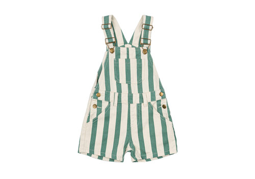 The New The New TNSTNewman Short Dungarees Bottle Green Striped