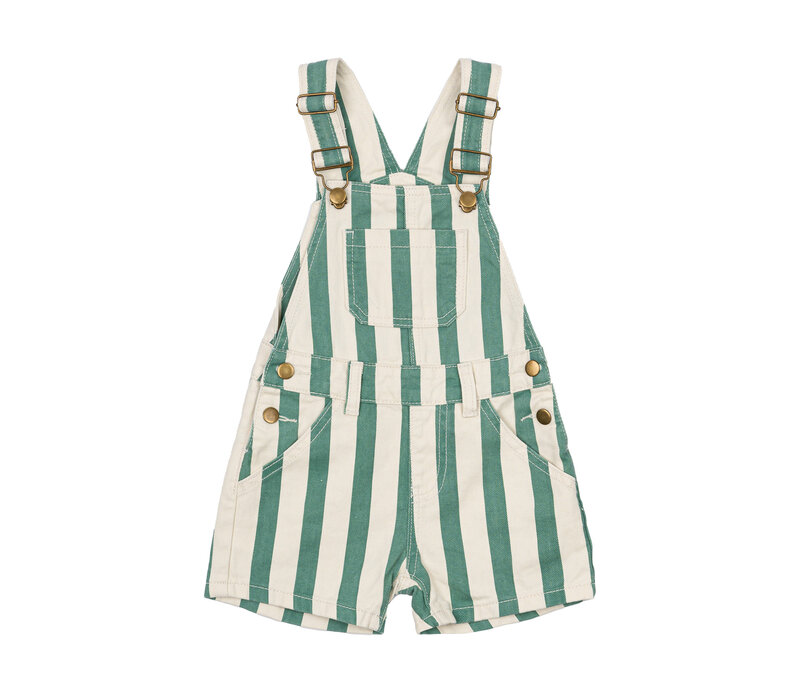 The New TNSTNewman Short Dungarees Bottle Green Striped
