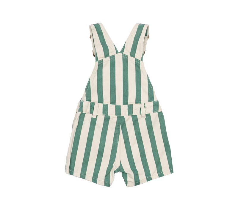 The New TNSTNewman Short Dungarees Bottle Green Striped