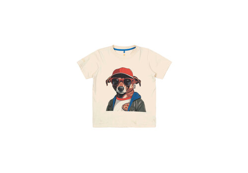 The New The New TNNevin S_S Tee White Swan
