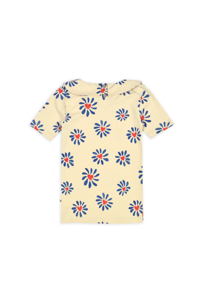 Ammehoela AM Sofiess 32 Flower-Heart