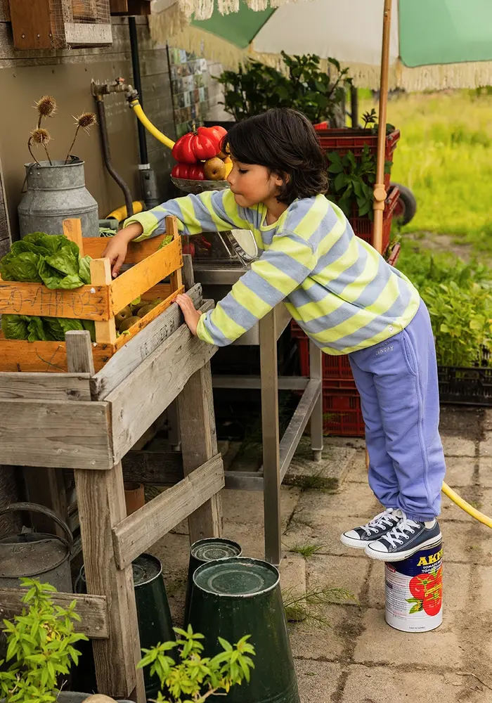 Sproet & Sprout Sweat pants blue bell  Blue bell