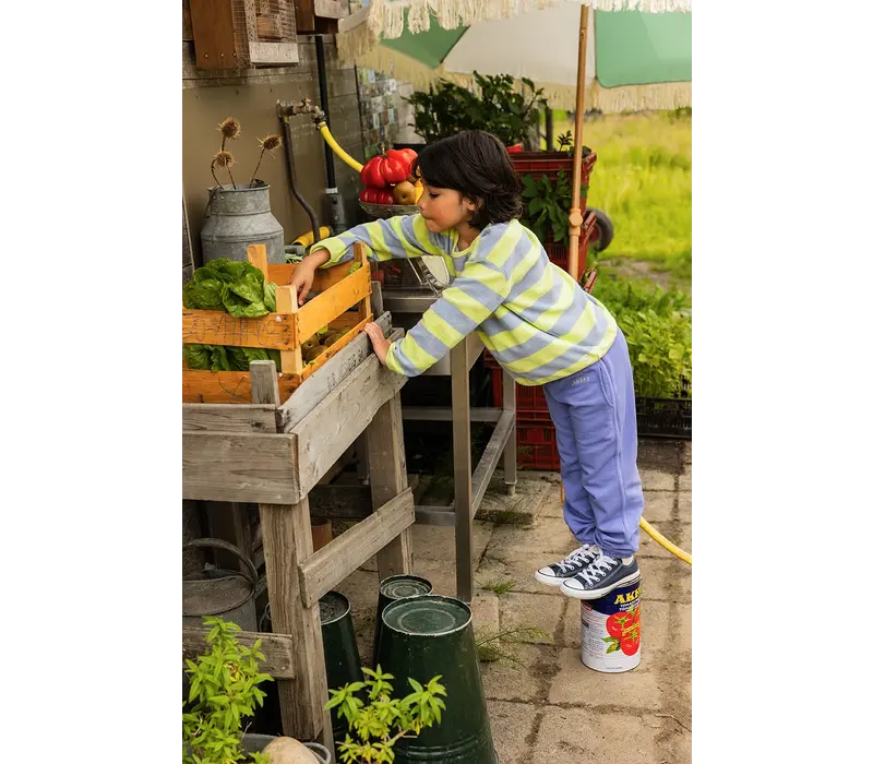 Sproet & Sprout Sweat pants blue bell  Blue bell