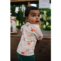 Babyface baby boys sweat shirt bone