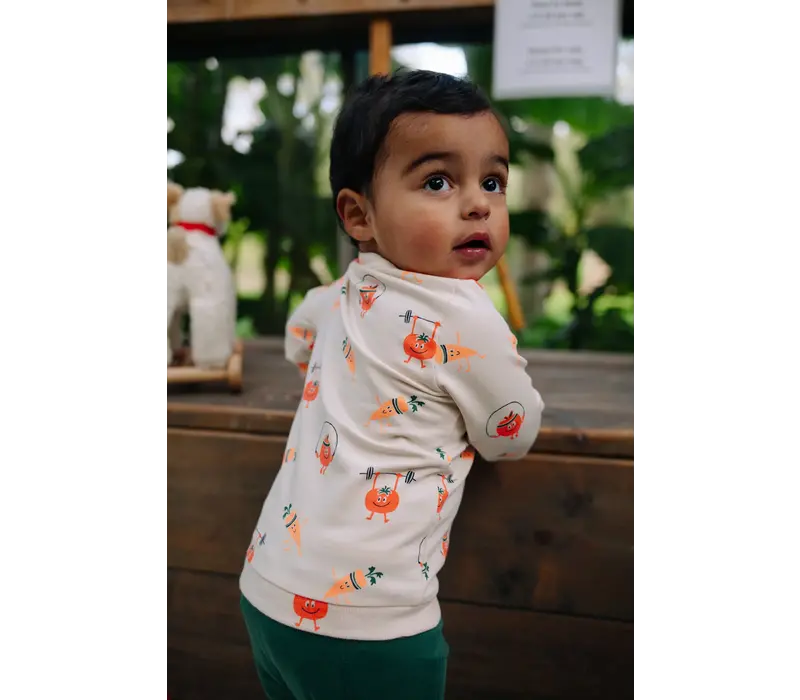 Babyface baby boys sweat shirt bone