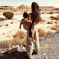 Wildride  Zebra carrier