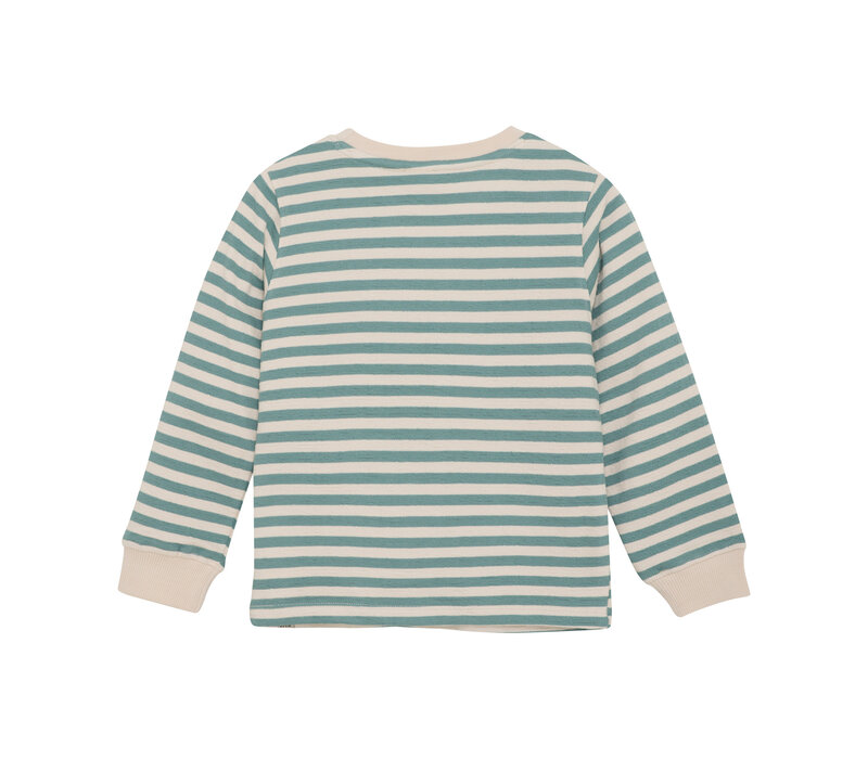 Daily Seven T-shirt LS Small Stripe Ocean Green