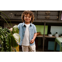 Daily Seven Shirt Striped Ashley Blue