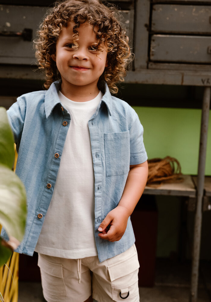 Daily Seven Shirt Striped Ashley Blue