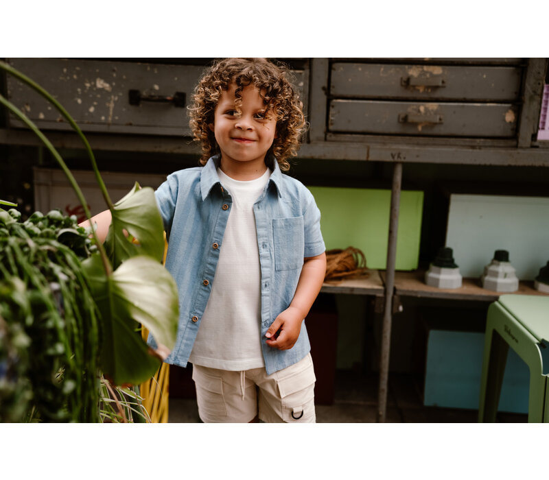 Daily Seven Shirt Striped Ashley Blue