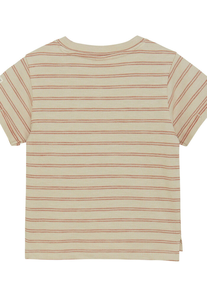 Enfant T-shirt SS Stripes French Oak