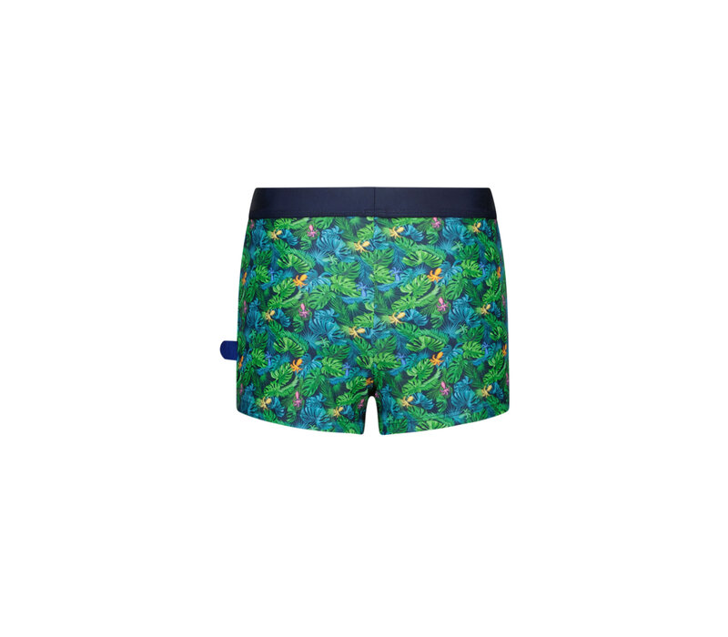 Nevada Just Beach boys swimshort Ocean life