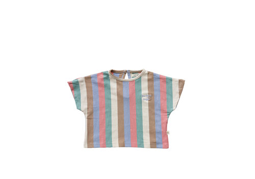 Your Wishes Your Wishes Multicolor Multi Stripes Cropped Tee