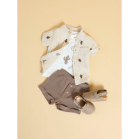 Name it NBMJULAR SHORTS Walnut
