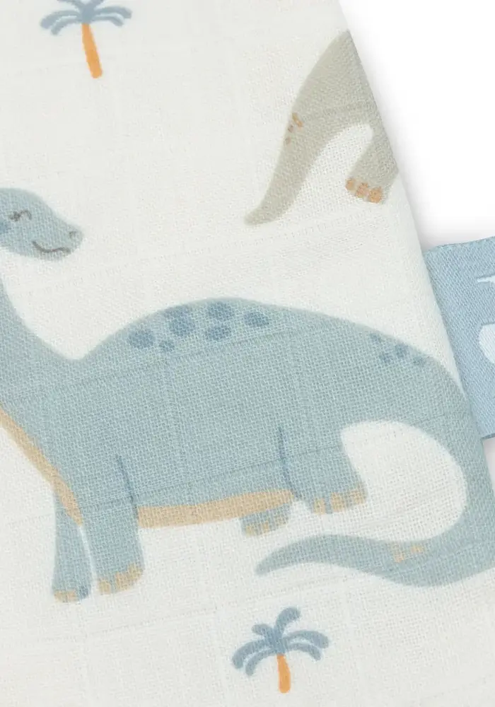 Jollein Slaapzak Hydrofiel - Roarsome