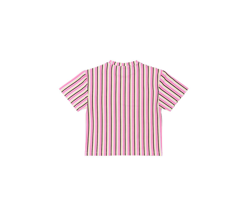 Salty Stitch Salty Stripes tee