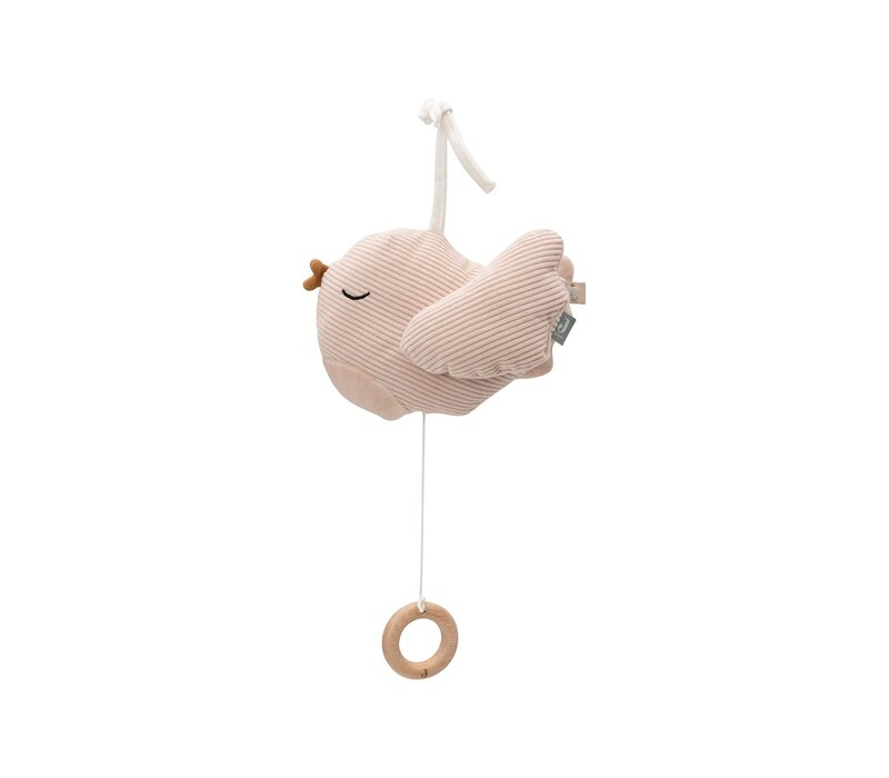 Jollein Muziekhanger Lovely Birds