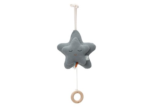 Jollein Jollein Muziekhanger Star Sea Green