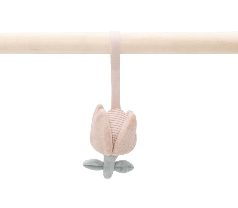 Jollein Babygym Speeltjes Lovely Birds