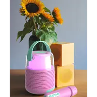 Karaoke Speaker Set KS-80 Pink