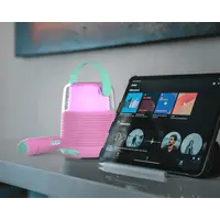 Karaoke Speaker Set KS-80 Pink