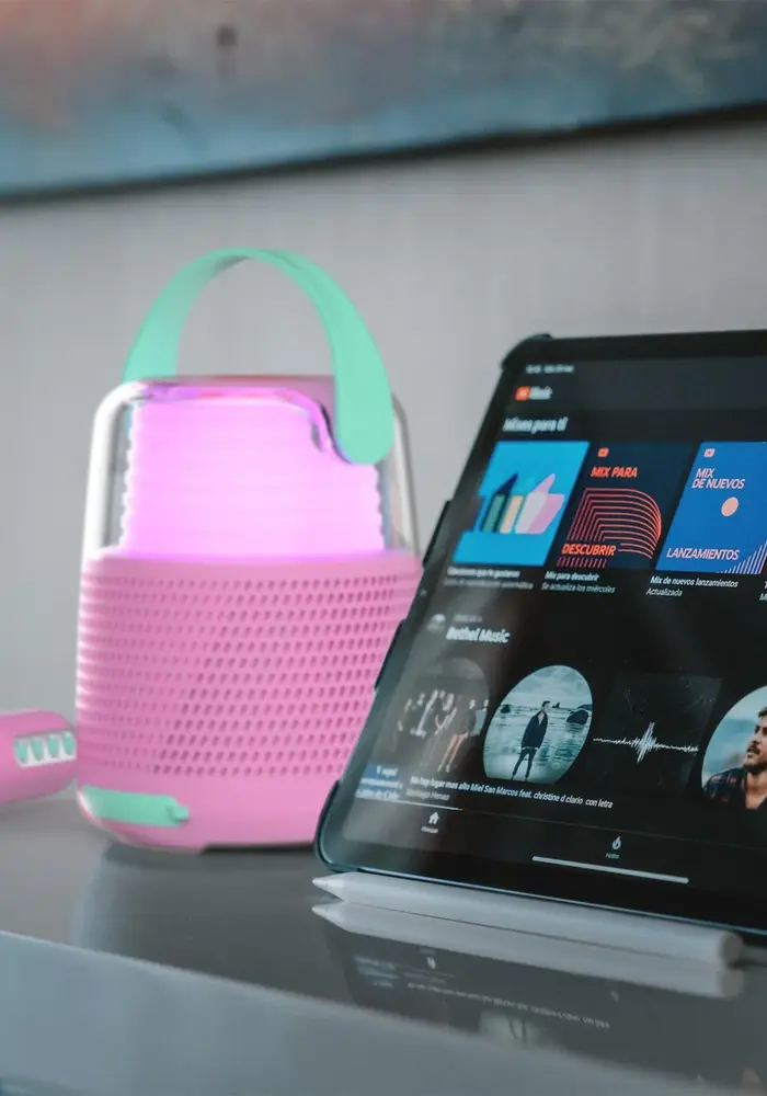 Karaoke Speaker Set KS-80 Pink