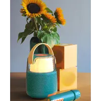 Karaoke Speaker Set KS- 80 Blue