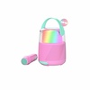 Karaoke Speaker Set KS-80 Pink
