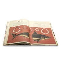 Het dierenboek