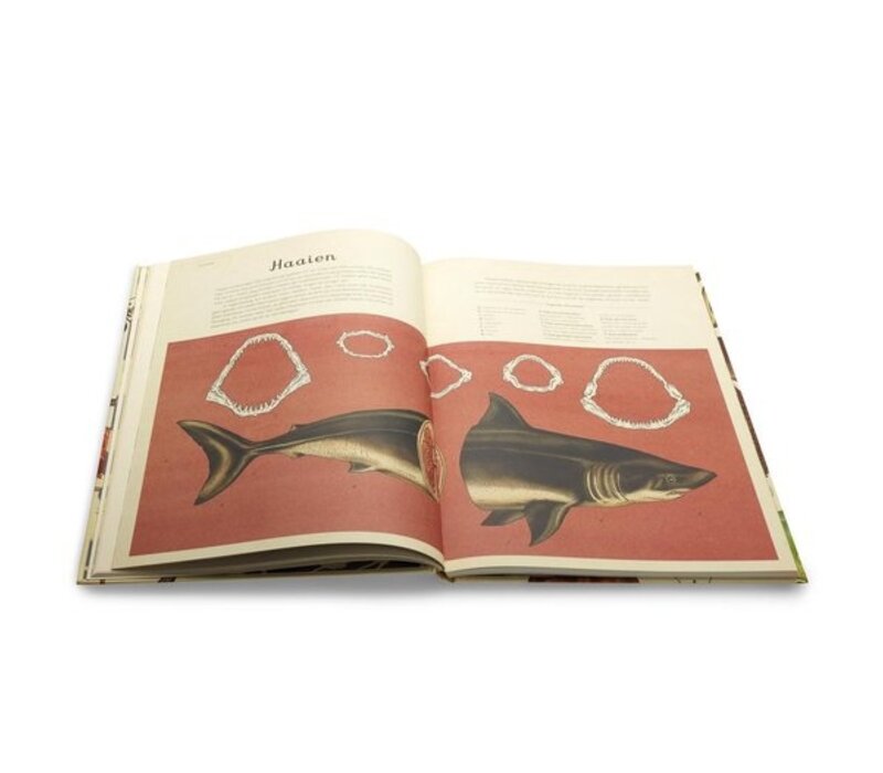 Het dierenboek