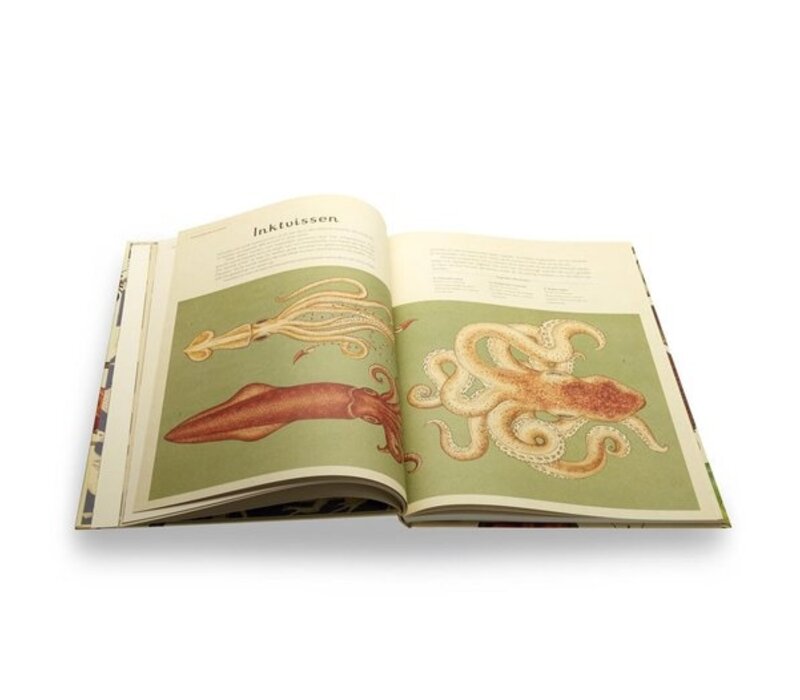 Het dierenboek