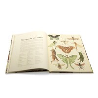 Het dierenboek