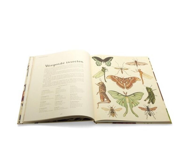 Het dierenboek