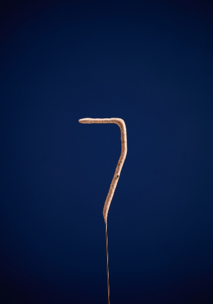 Wondercandle sterretje 7