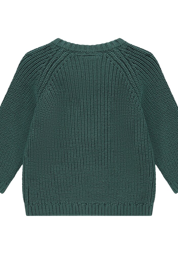 Babyface boys pullover Bottle