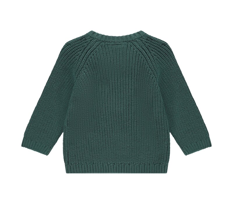 Babyface boys pullover Bottle