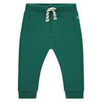Babyface boys sweatpants turtle