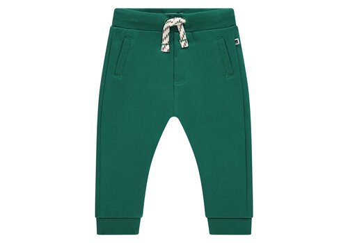 Babyface Babyface boys sweatpants turtle