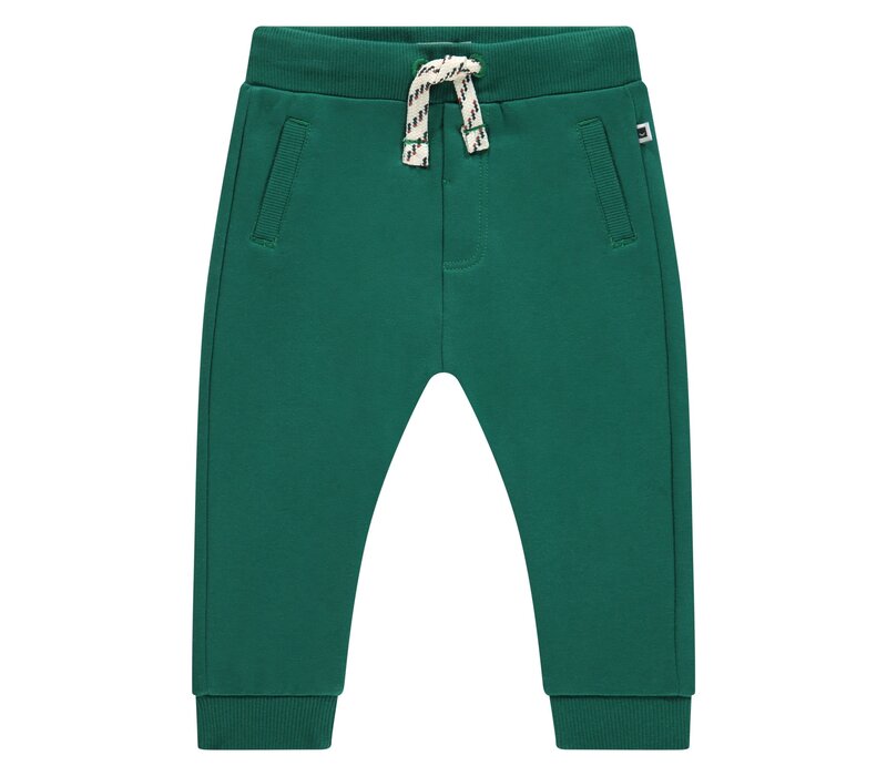 Babyface boys sweatpants turtle