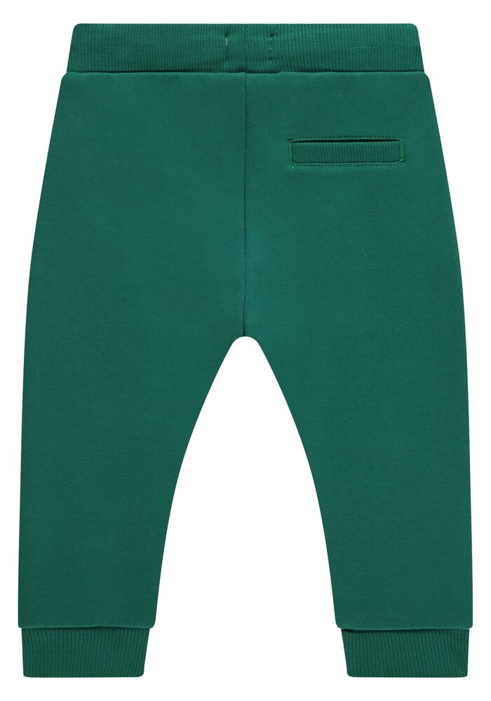 Babyface boys sweatpants turtle