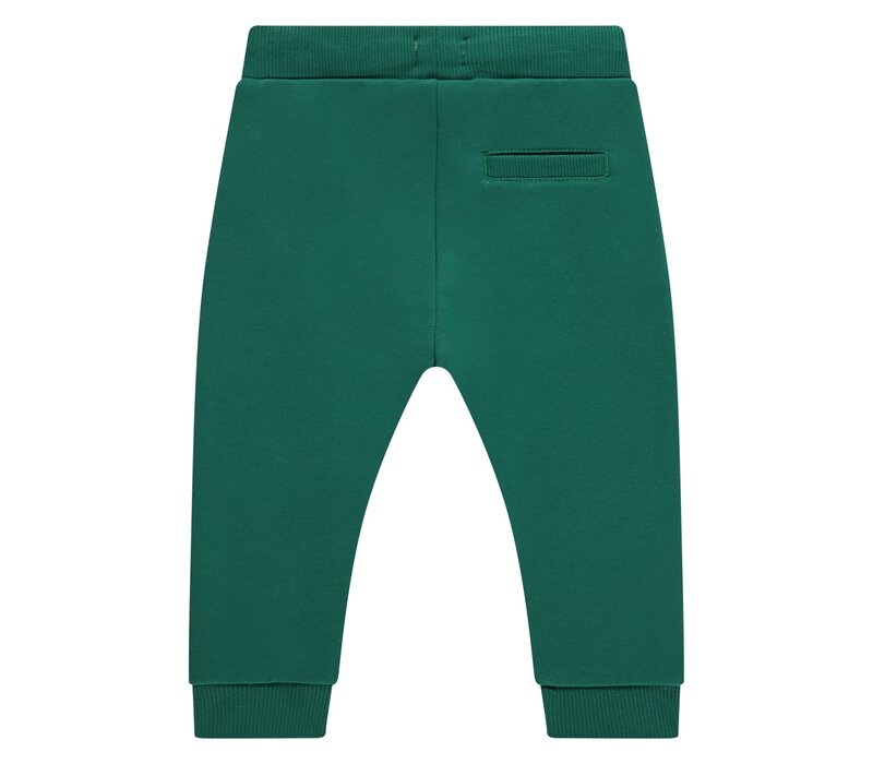 Babyface boys sweatpants turtle