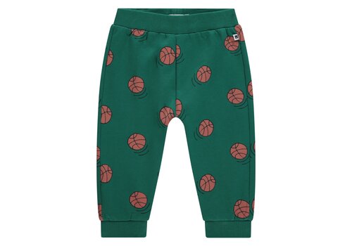 Babyface Babyface boys sweatpants turtlee