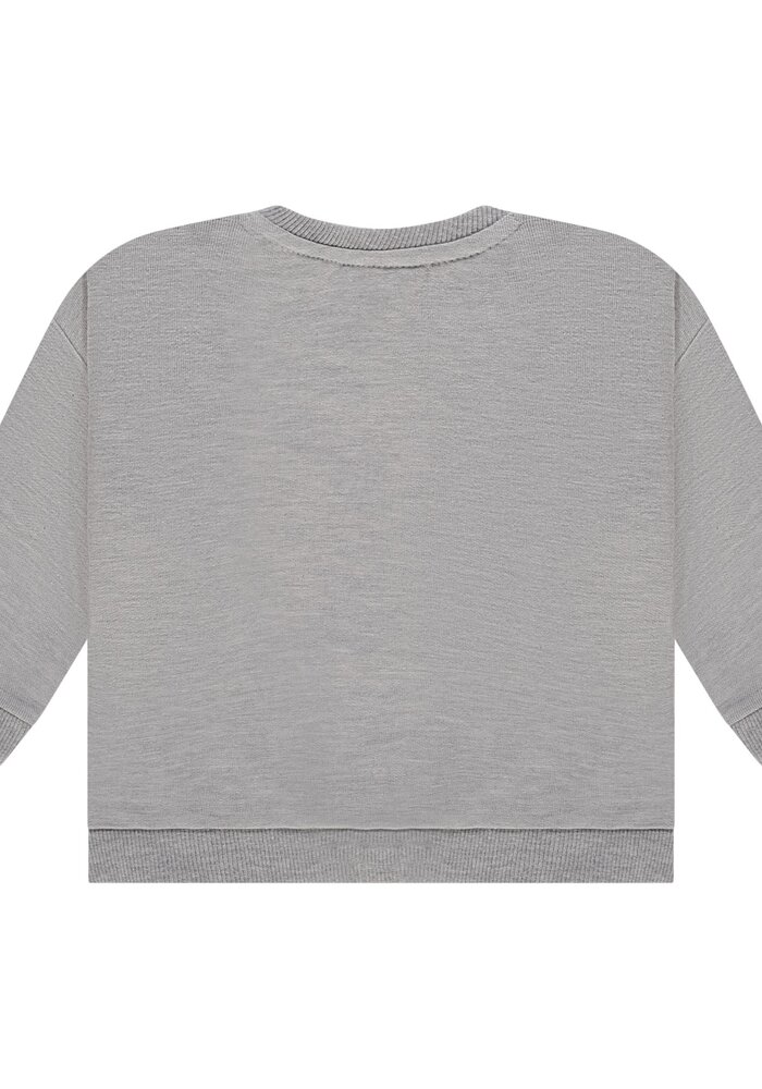 Babyface boys sweatshirt GREY MELANGE