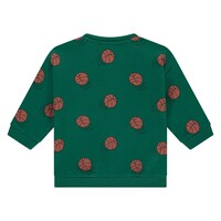 Babyface boys sweatshirt turtle