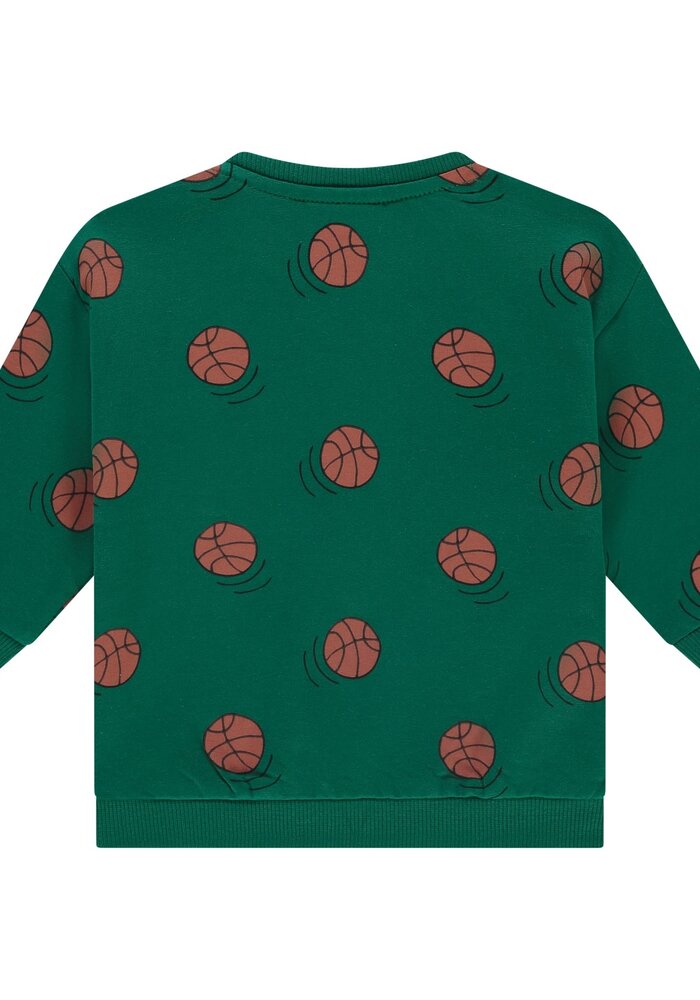 Babyface boys sweatshirt turtle