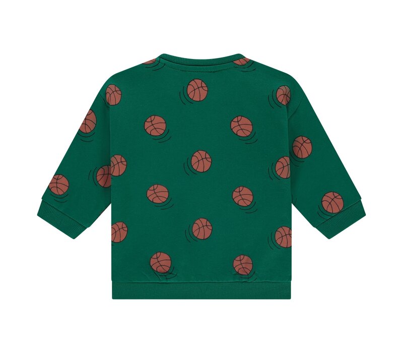 Babyface boys sweatshirt turtle